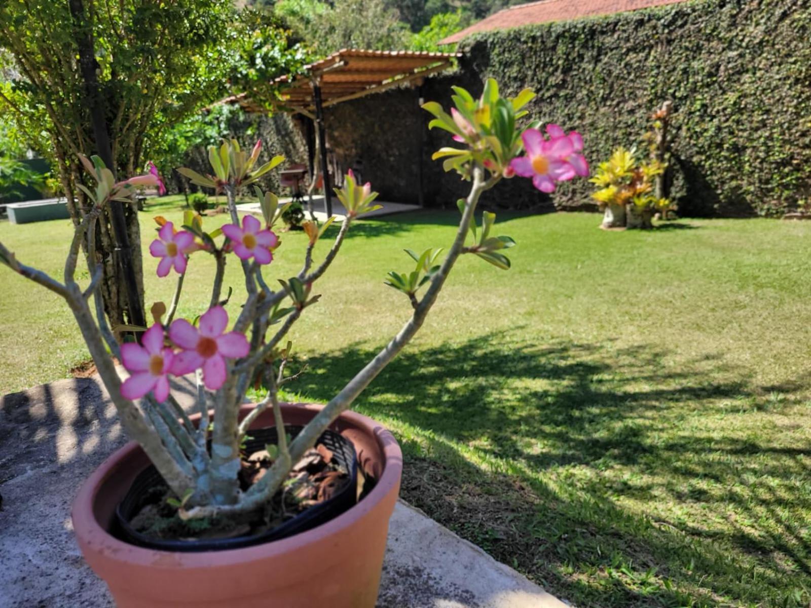 מיגל פריירה Villa Terracotta מראה חיצוני תמונה